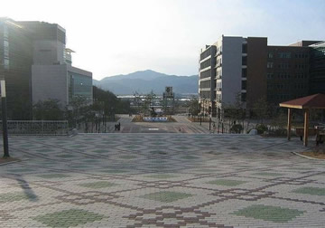 釜山大学