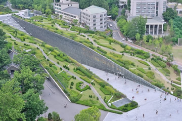 江陵原州大学