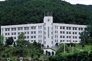 韩国外国语大学