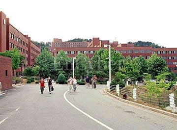弘益大学