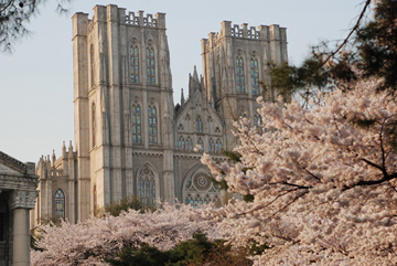 庆熙大学